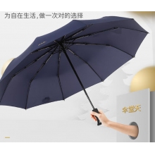 天堂伞