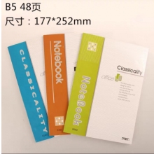 玛丽软抄本 48页